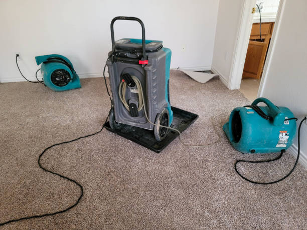 Best Basement water damage restoration  in Okemos, MI