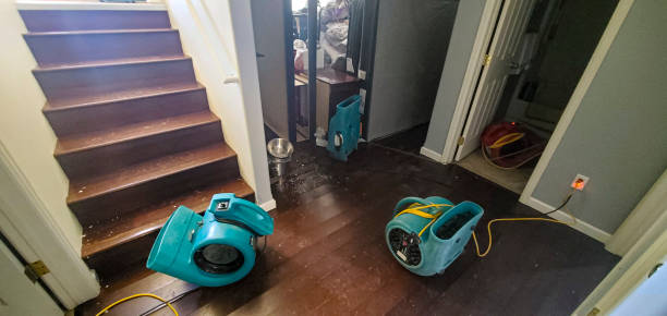 Best Water damage restoration experts  in Okemos, MI