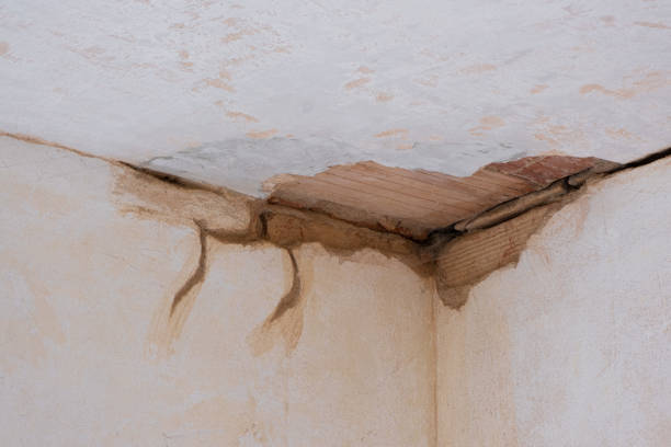 Best Fire Damage Restoration  in Okemos, MI
