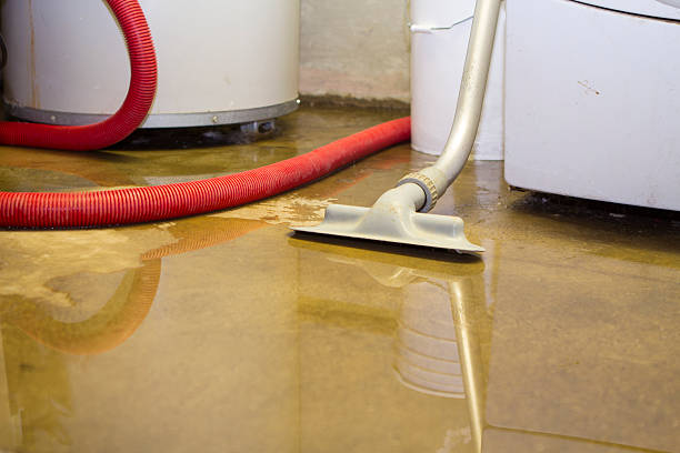 Best Residential water damage restoration  in Okemos, MI