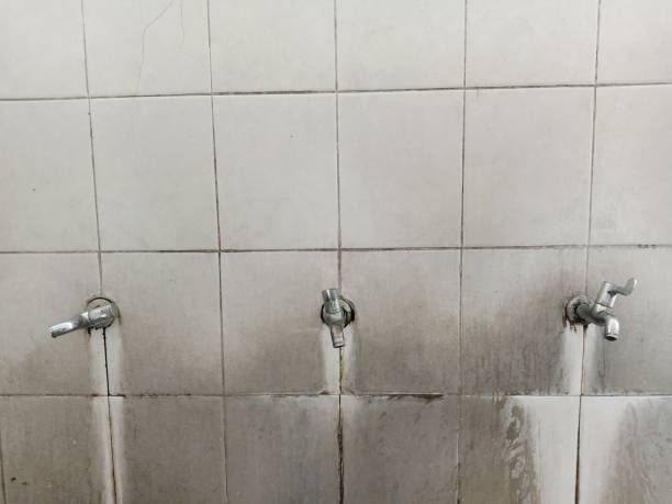 Best 24-hour water damage restoration  in Okemos, MI