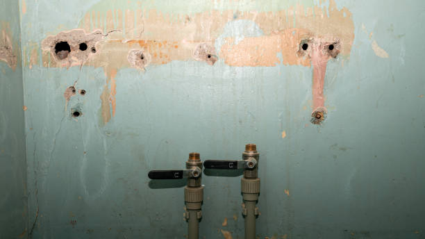 Best Water damage restoration near me  in Okemos, MI