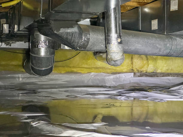 Best Water damage cleanup near me  in Okemos, MI