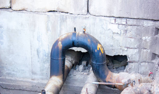 Best Professional water damage repair  in Okemos, MI