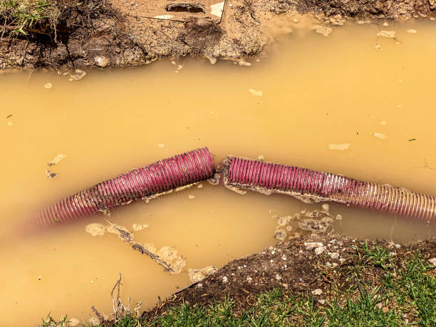 Best Water damage restoration near me  in Okemos, MI