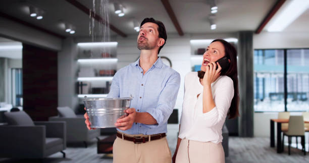 Best Carpet water damage restoration  in Okemos, MI