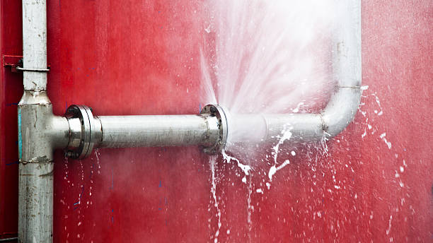 Best Flood damage cleanup  in Okemos, MI